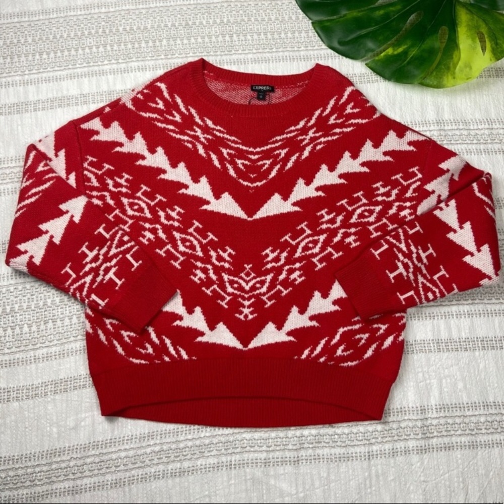 Express Holiday Sweater NWT